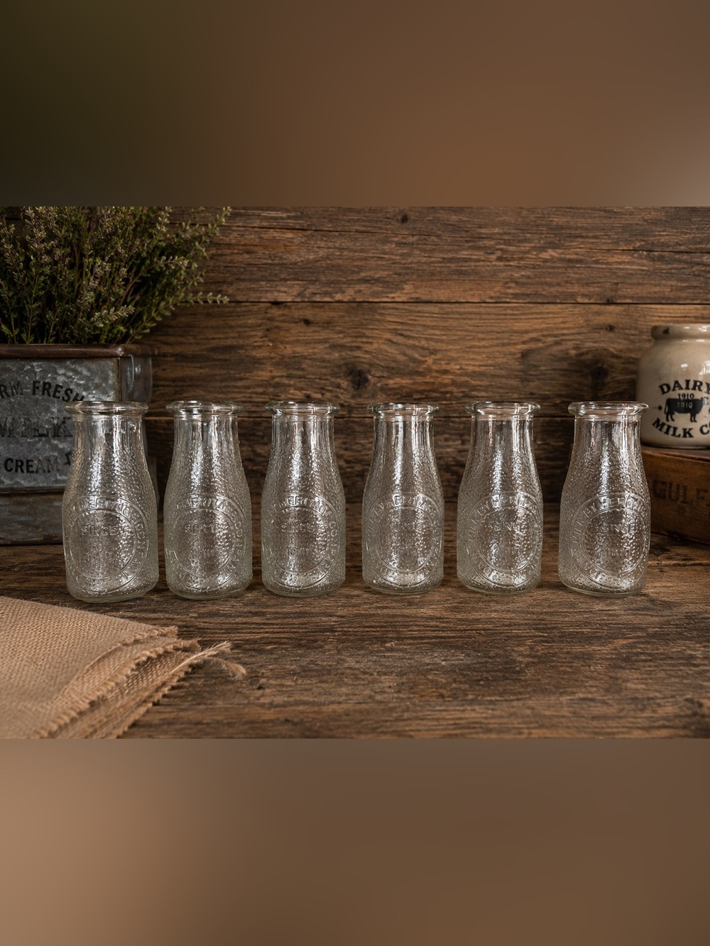 Rustic Vintage Milk Bottle Vase Set of 5